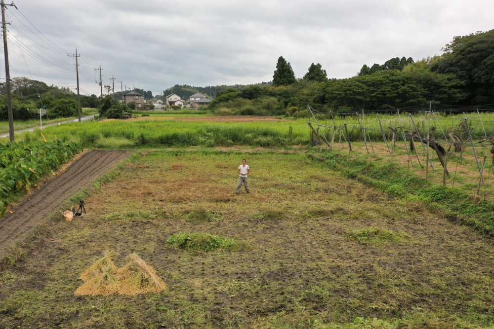 房総オルタナティブライスフィールド　2021年稲刈りDAY10　稲刈り終わったー！