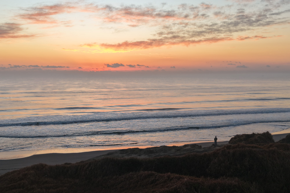 ひと足さきに年明けです！ Walk on the Wild Side