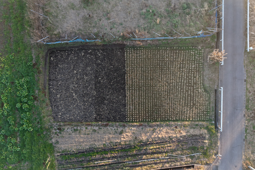 新春田んぼはじめ 田起こしDAY6