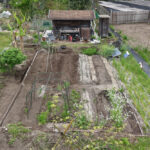 夏野菜の準備　小屋横の区画を整える