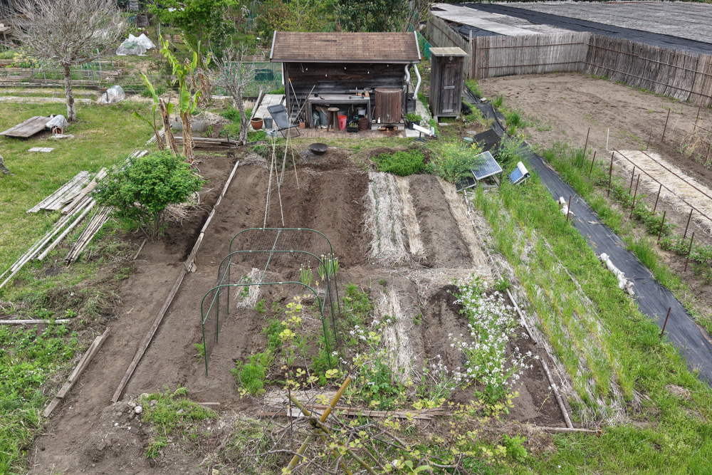 夏野菜の準備　小屋横の区画を整える