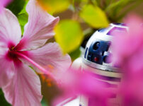 may the blossom force be with you 2025