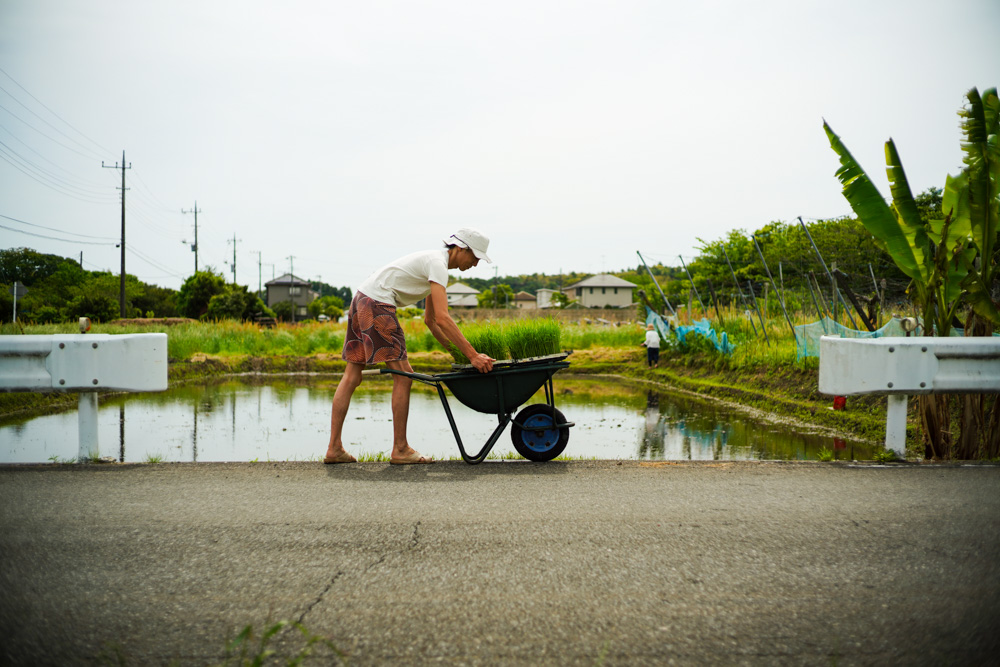 2025年 房総オルタナティブ米　田植え DAY1