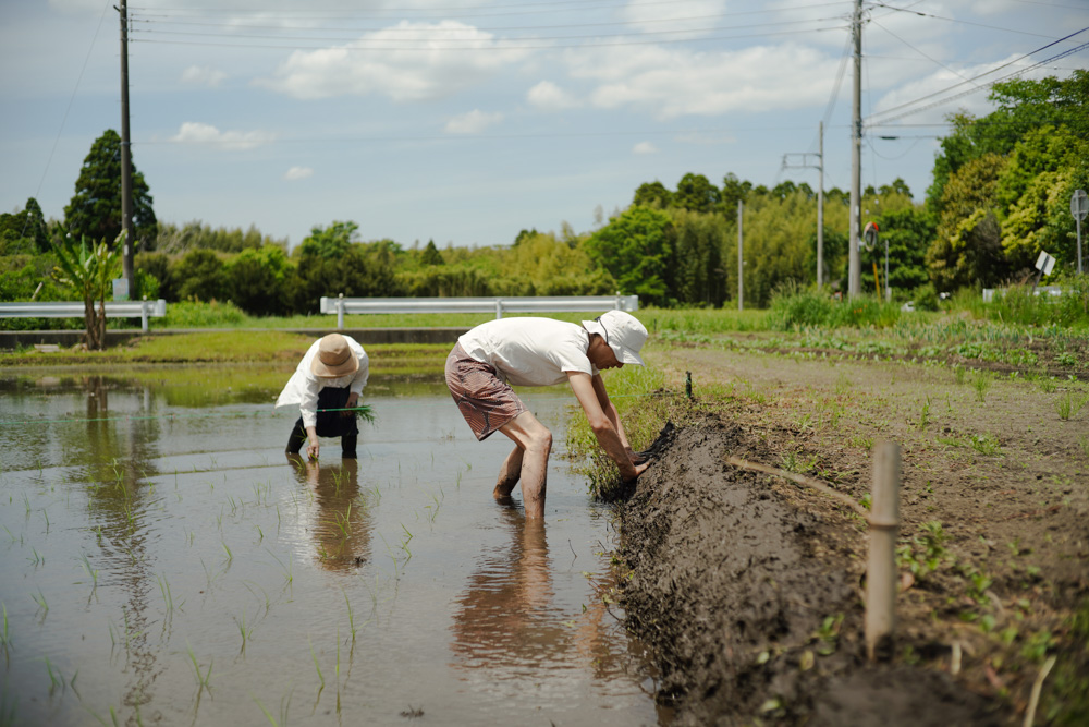 2025年 房総オルタナティブ米　田植え DAY1