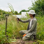 田んぼの雑草取り・ニンニク・小麦の収穫 2025