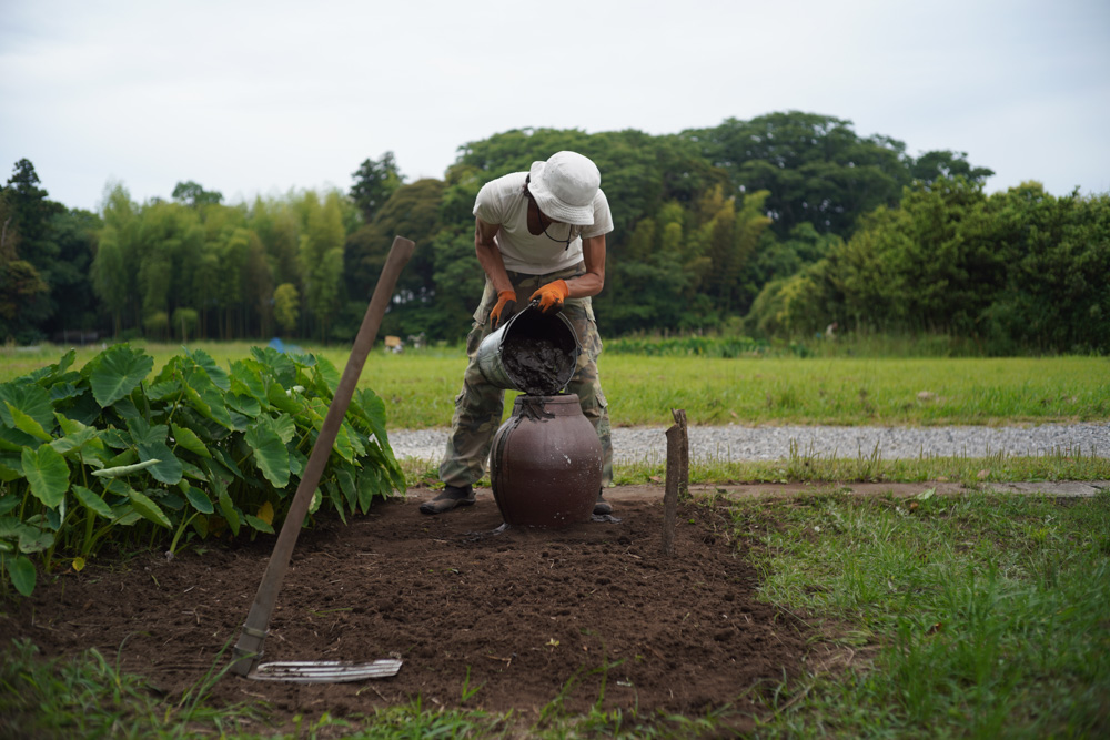 房総南国化計画　壺をもらったので蓮を植える