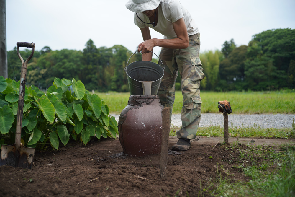 房総南国化計画　壺をもらったので蓮を植える