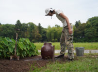 房総南国化計画　壺をもらったので蓮を植える