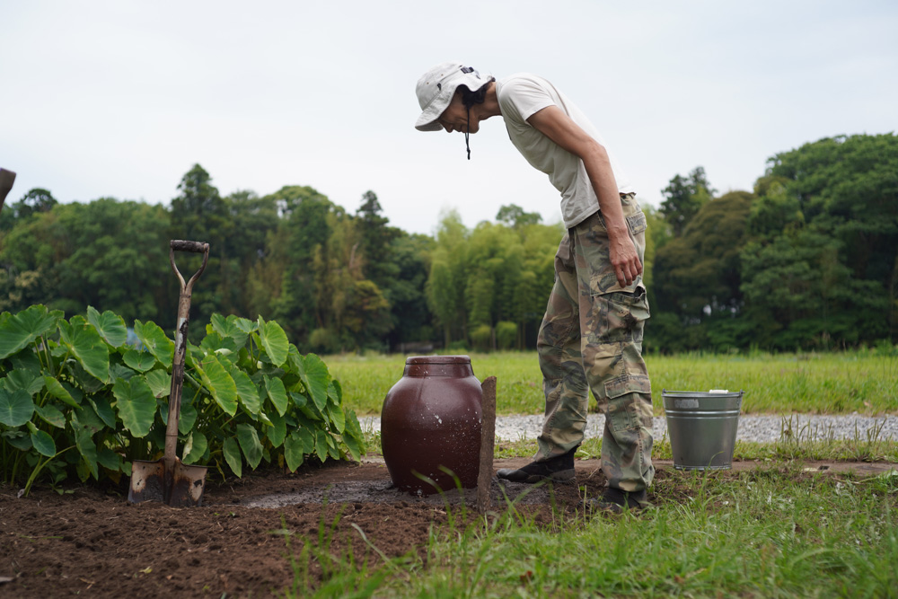 房総南国化計画　壺をもらったので蓮を植える