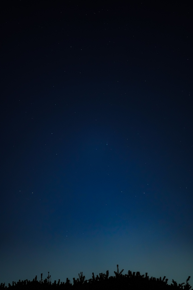 レモン彗星見れた! 1350年周期でやってくるレモン彗星 C/2025 A6