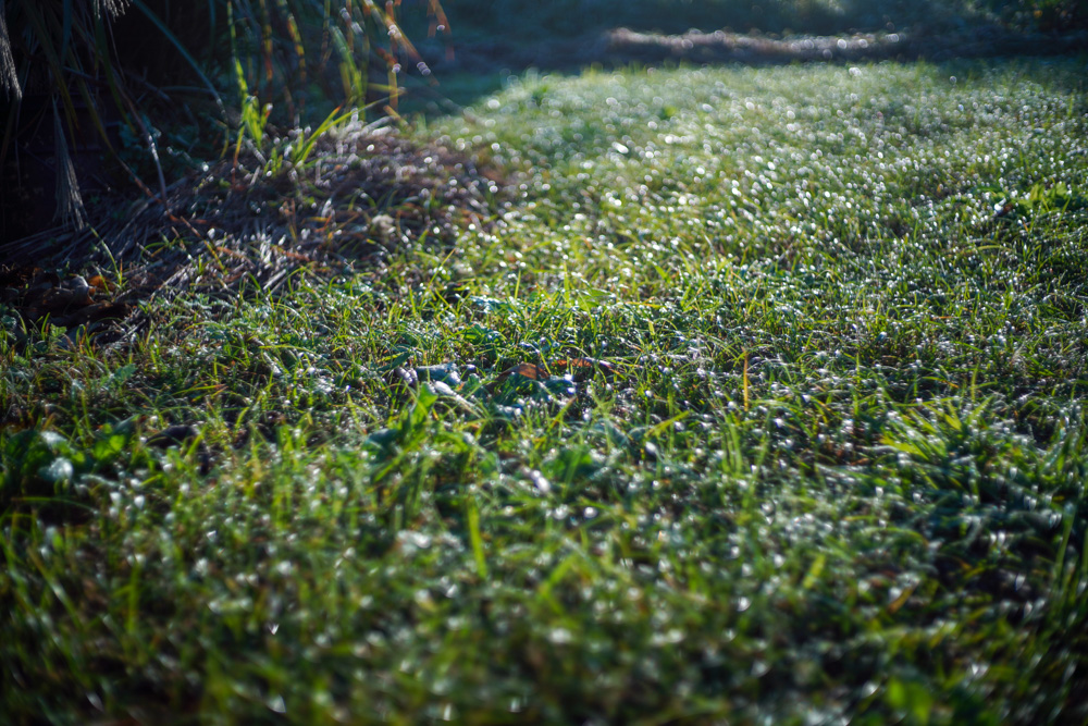 宇宙に浮かぶ地球という惑星に生きていることを思い出す瞬間