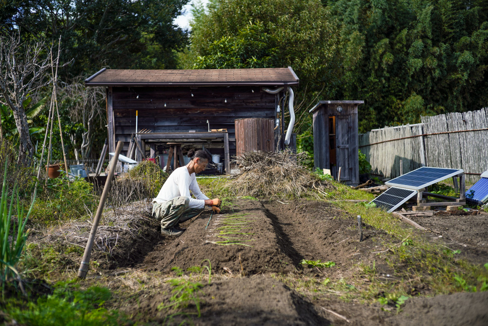 小屋の土留め補修と玉ねぎの植え付け第二弾