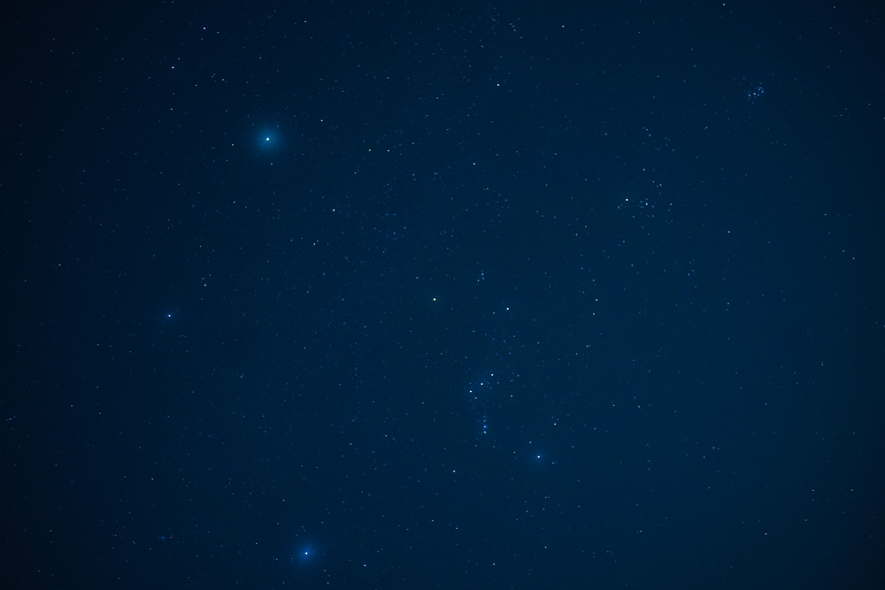 春を感じる1日 敷地前面を整えじゃがいもの植え付け準備をする