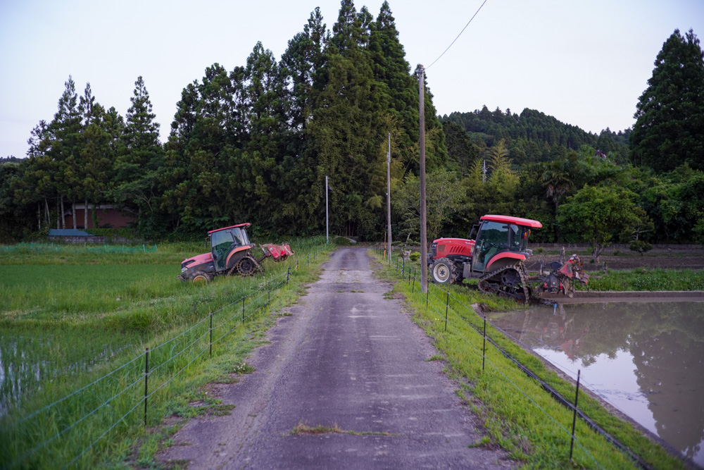 房総 いすみで蛍を眺める 2026 Voigtlander NOKTON F1.4 40mm SC+Sony α7R III