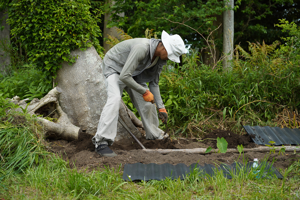 畦板を入れて竹、ヤブカラシ、ススキの侵入を防ぐ！ 深さ40cmの畦板「あぜ板 400N」を導入