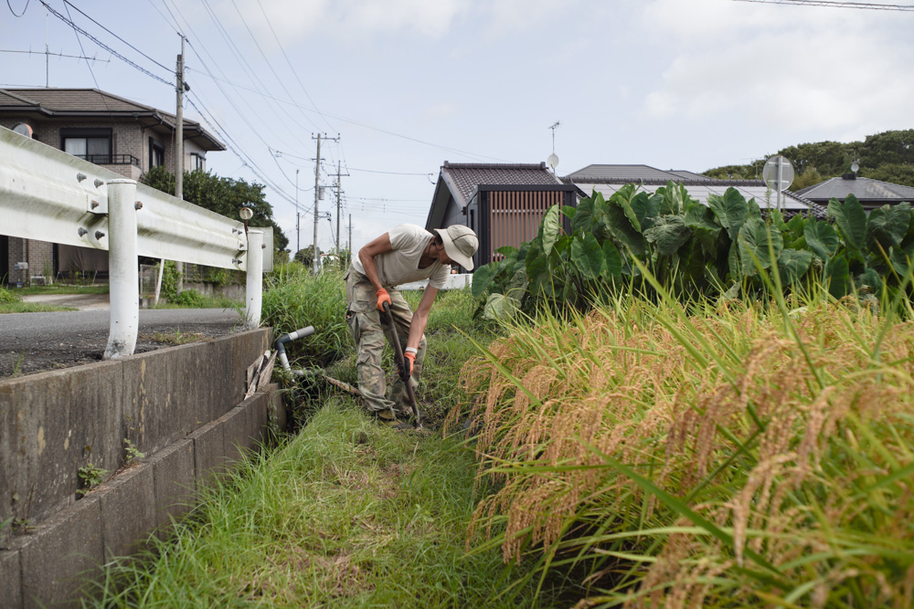 稲刈りスタート！と言いたいところですが、、、雨で田んぼが水浸し