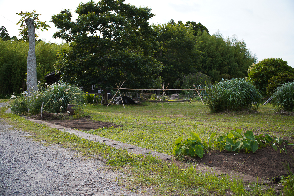房総フィールド敷地前面の整地とナス・ピーマン・ズッキーニの苗を植える
