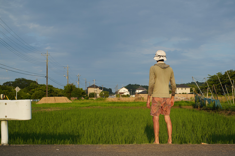 人類が未来を見るようになったのは農業を始めたから　夏の訪れと田んぼの雑草とり3回目とズッキーニを収穫