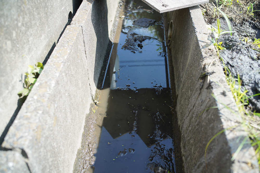 田んぼの水漏れ補修といちご区画のススキの抜根 DAY2