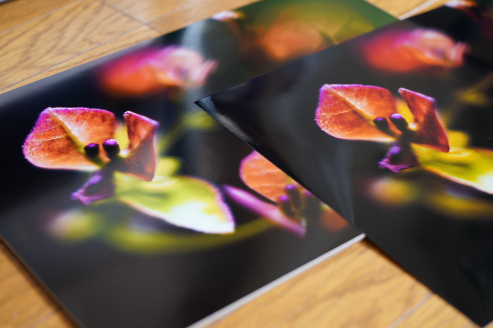 自分で撮った植物の写真をプリントして部屋に飾ってみる　用紙による印象の違いを比較するためEPOSON クリスピア高光沢とFUJI FILM MAXIMA グロッシーを試す