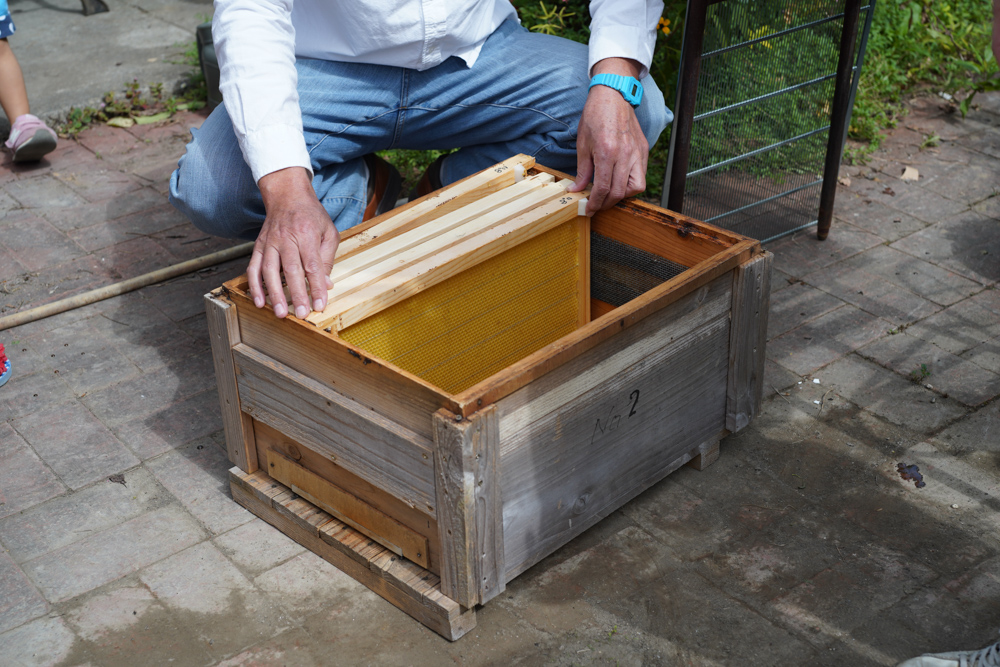 鴨川の養蜂家さんを訪ね、はちみつが出来るまでの工程を教えてもらう