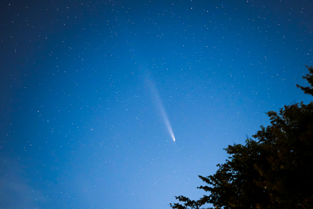 紫金山・アトラス彗星、ついにゲット♪