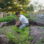 秋の植え付け準備　玉ねぎ区画の雑草とり