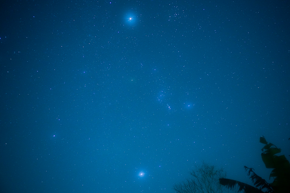 冬の訪れは星で感じる　冬の星座に木星が加わり夜空はにぎやかです