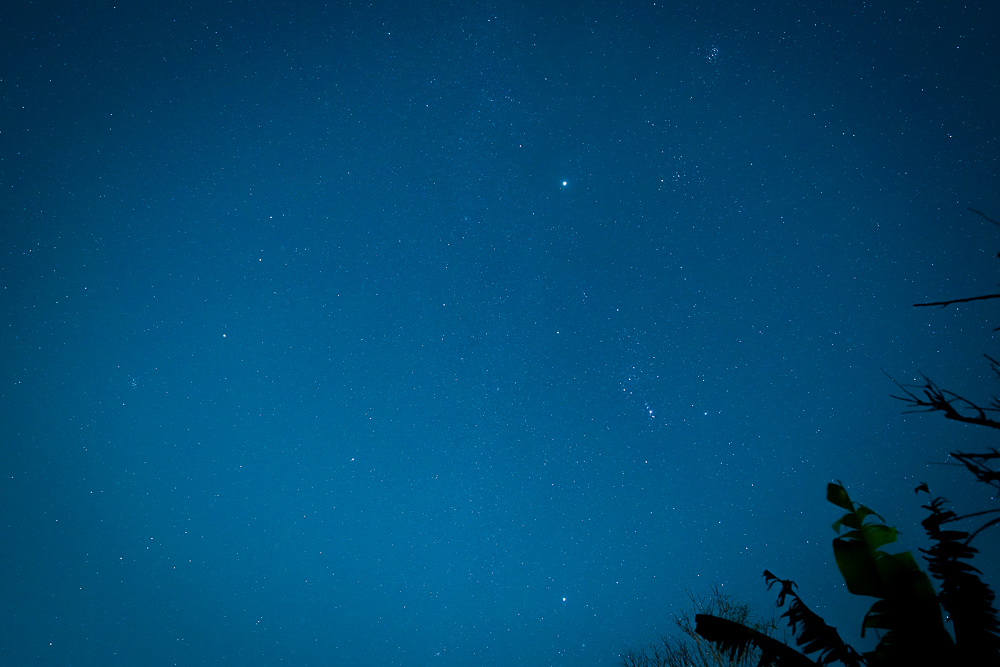 冬の訪れは星で感じる　冬の星座に木星が加わり夜空はにぎやかです