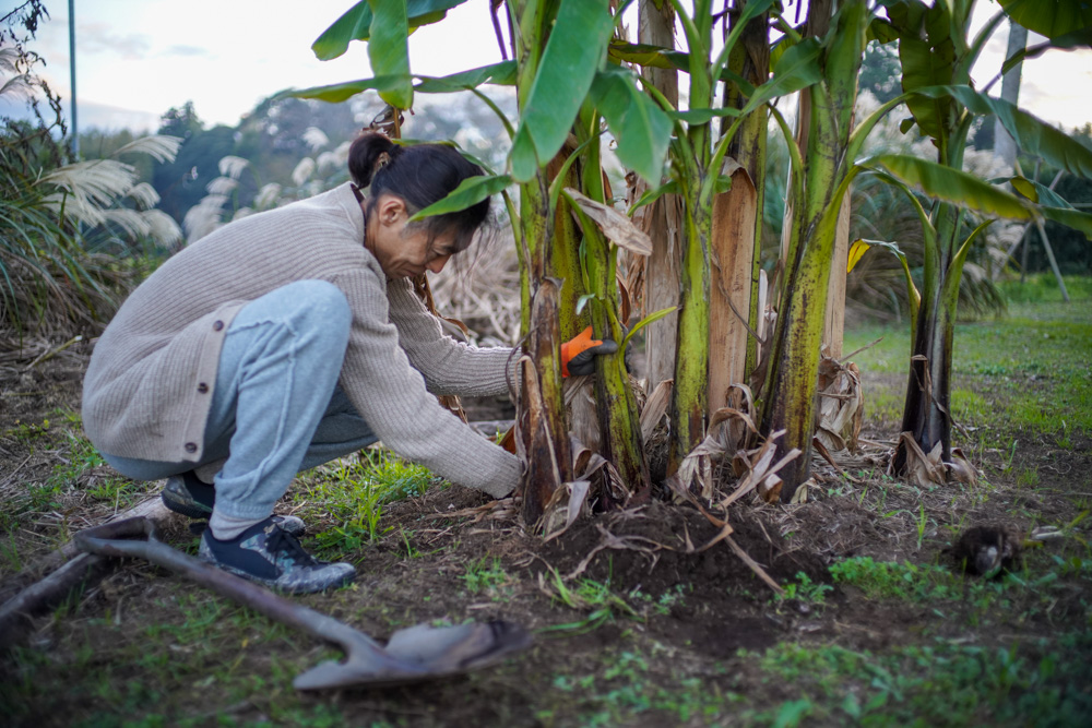 感謝すること、整えること　新嘗祭と小屋の大掃除、そして年末へ