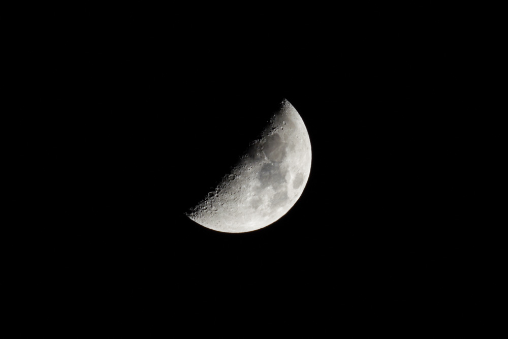 今日の星空模様　土星食と冬の星座たち