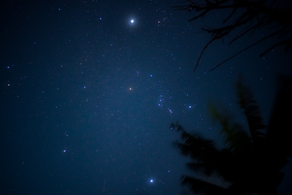 今日の星空模様　土星食と冬の星座たち