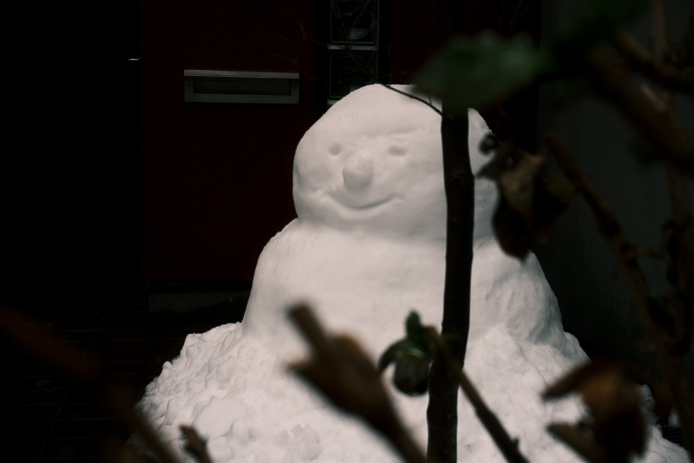 雪の東京で雪だるまを作り、春の房総で田起こし