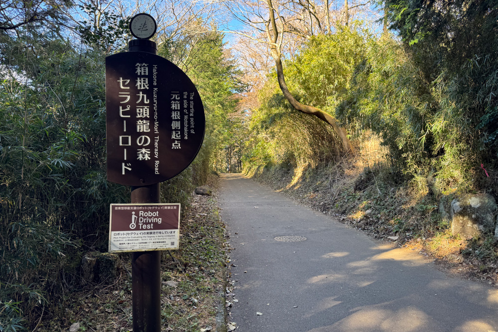 龍のエネルギーを感じに、導かれるように箱根九頭龍神社 本宮へ