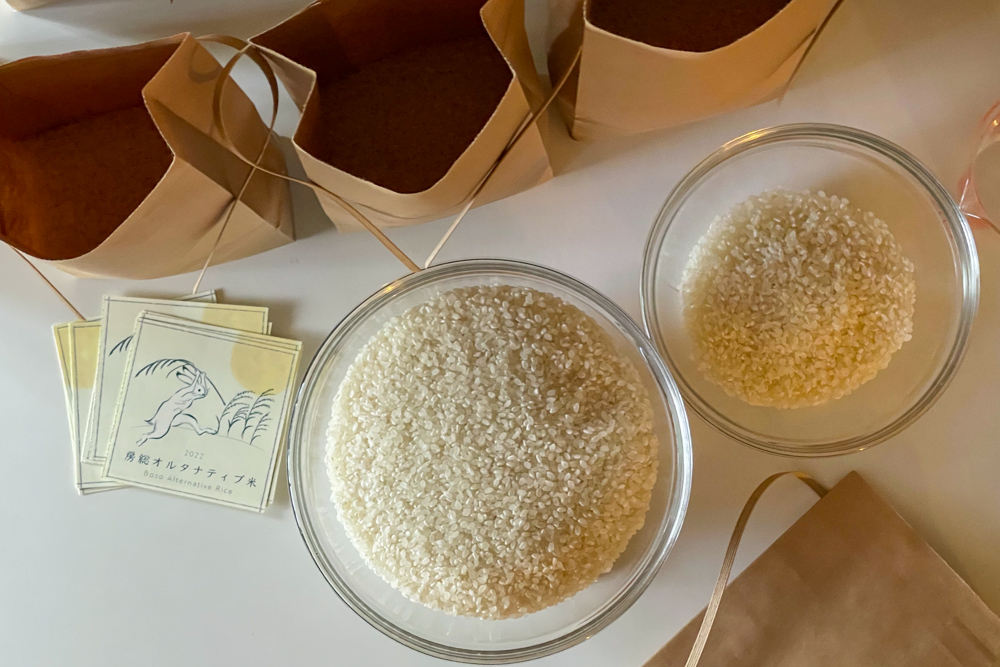 2022年 房総オルタナティブ米をグローグーと一緒に米袋に詰める　デリバリー始まるよ！