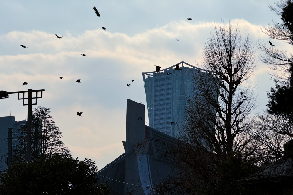 Tokyo Vibes　欲望は人のエネルギーを生み出す原動力