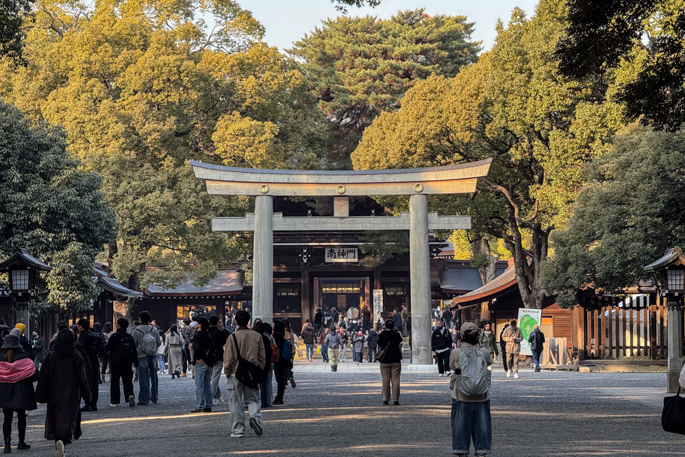 Tokyo Vibes　欲望は人のエネルギーを生み出す原動力