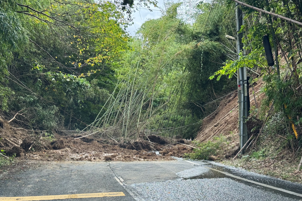 YOUはなにしに房総へ？ 台風25号の爪痕