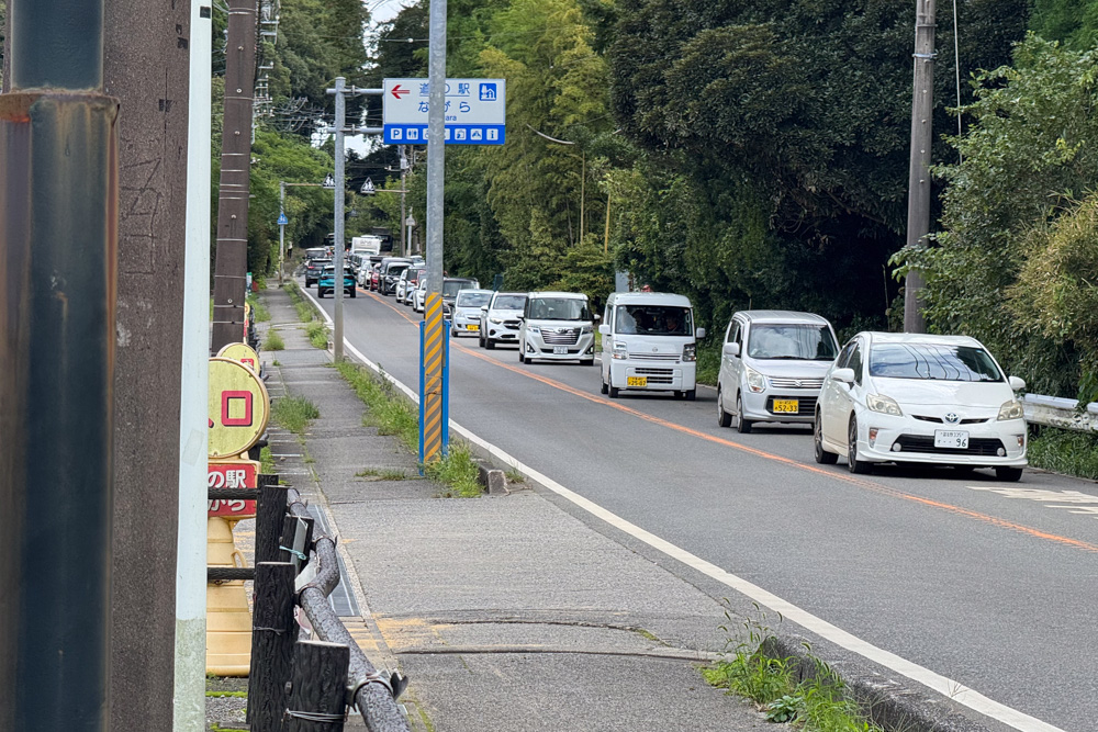 YOUはなにしに房総へ？ 台風25号の爪痕