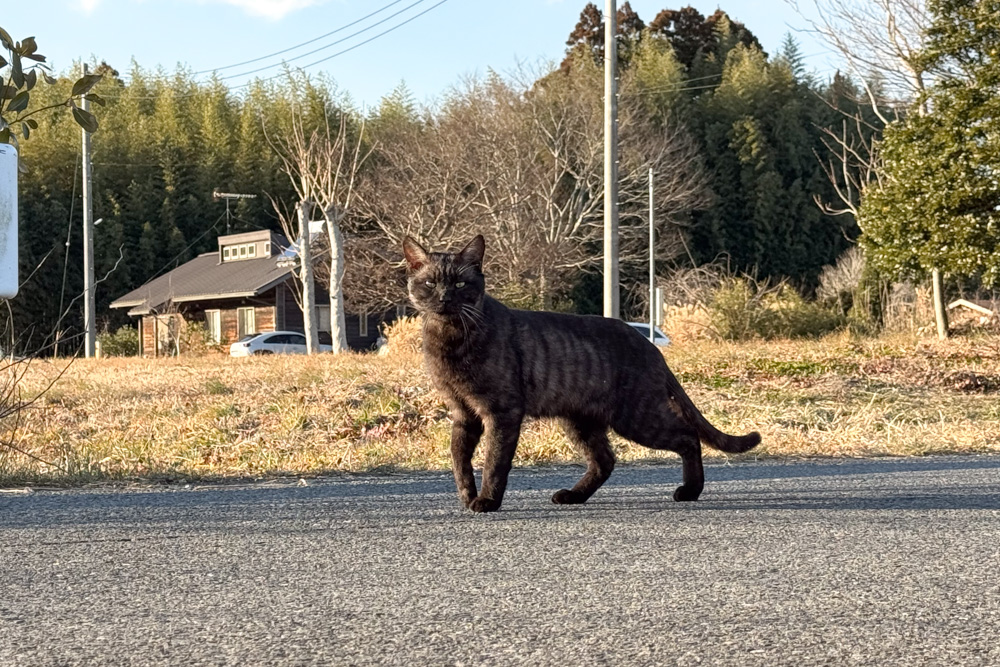 2026年田起こし完了！ 田起こしDAY12