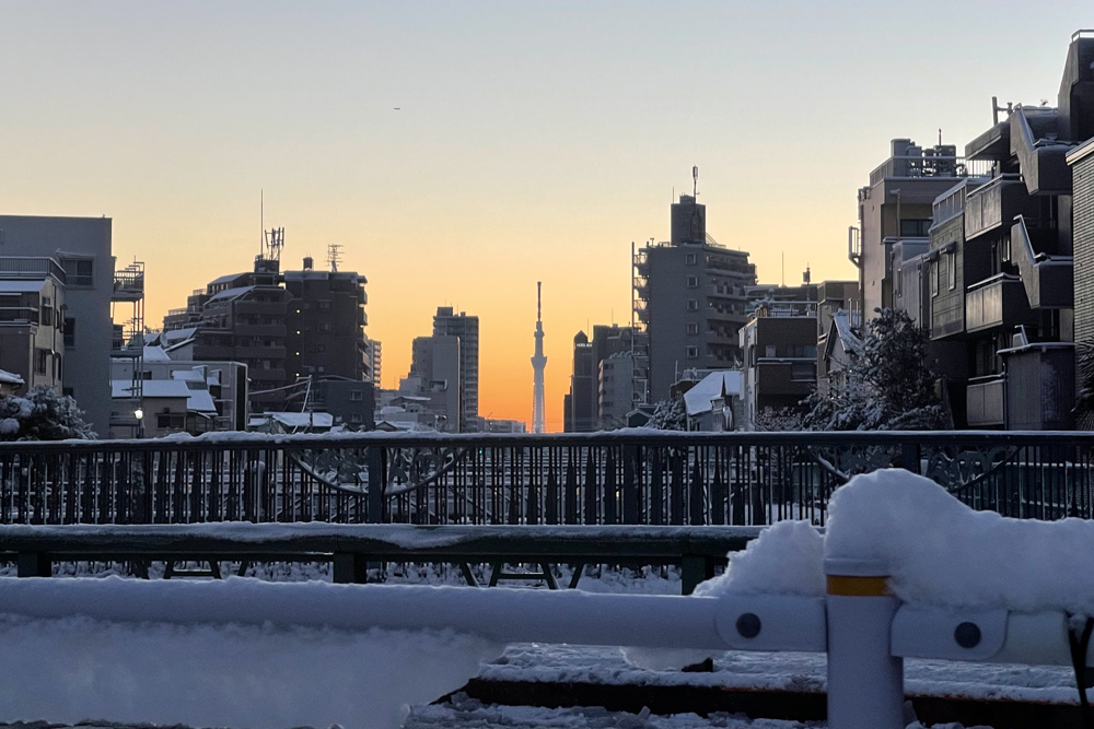 ちょこっと空の旅　雪の房総半島と東京湾上空