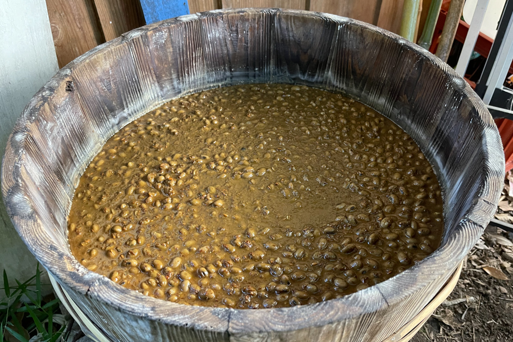 田んぼの雑草取り2回目 DAY2、スイカとカボチャの定植、お醤油混ぜ混ぜ