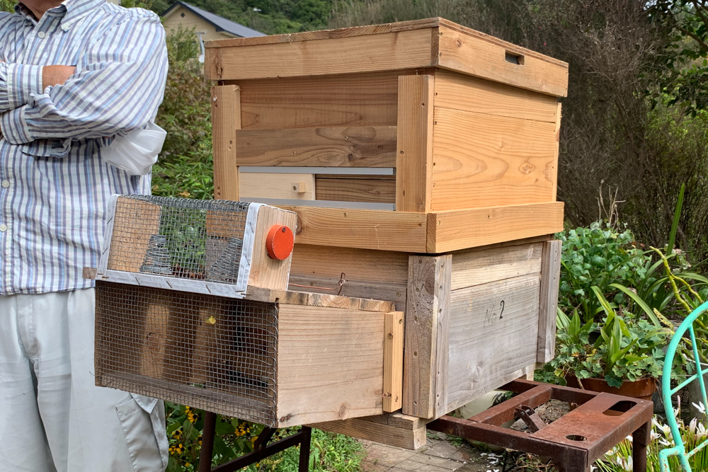 鴨川の養蜂家さんを訪ね、はちみつが出来るまでの工程を教えてもらう