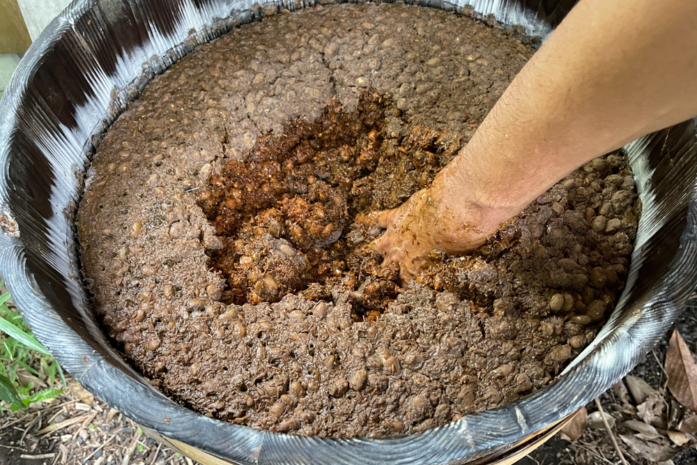 房総フィールドガーデニング　じゃがいもの植え付け、ゴーヤの収穫、さつまいもの蔓返しと手作りお醤油混ぜ混ぜ