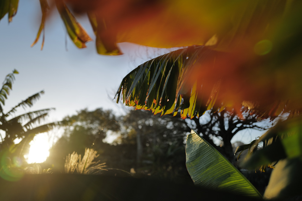 2025年 房総フィールドの大掃除と僕の年末