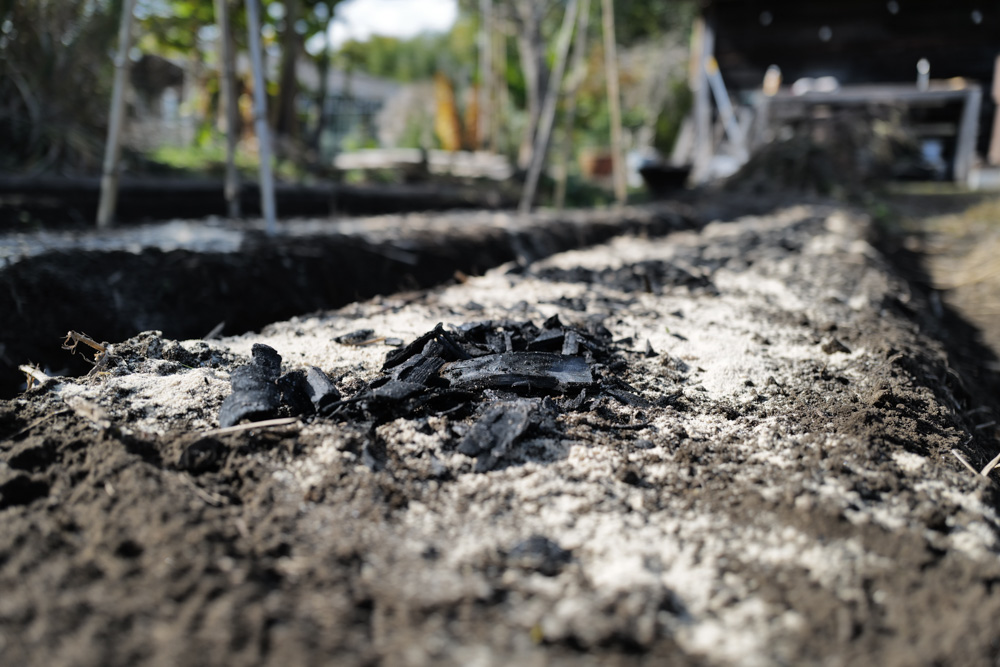 2025年 房総フィールドの大掃除と僕の年末