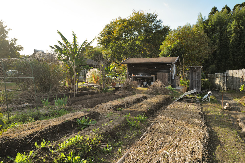 2025年 房総フィールドの大掃除と僕の年末