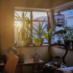 七回忌　死者の存在を感じるとき