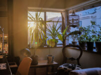 七回忌　死者の存在を感じるとき