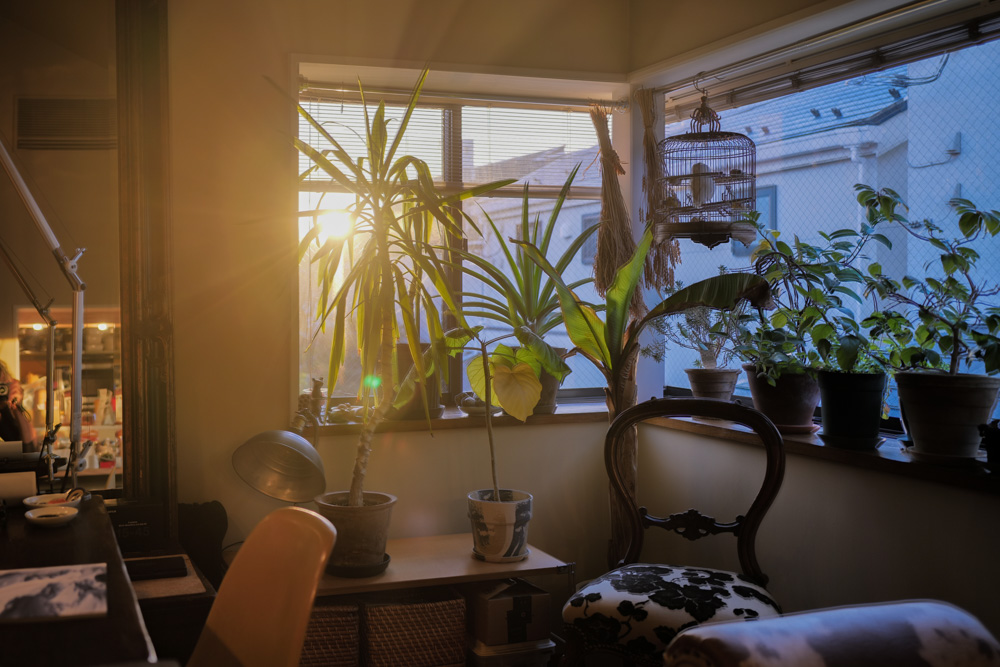 七回忌　死者の存在を感じるとき